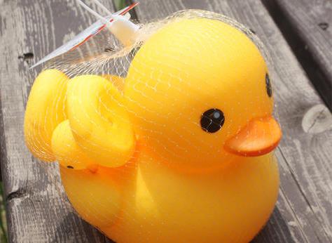 一般兒童玩具常見的檢測項目包含哪些？