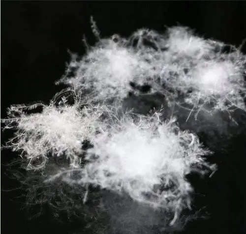 羽絨服質檢標準-紹興第三方專業(yè)羽絨,羽絨服檢測