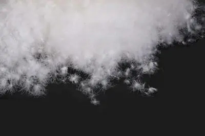 羽絨服質檢標準-紹興第三方專業(yè)羽絨,羽絨服檢測