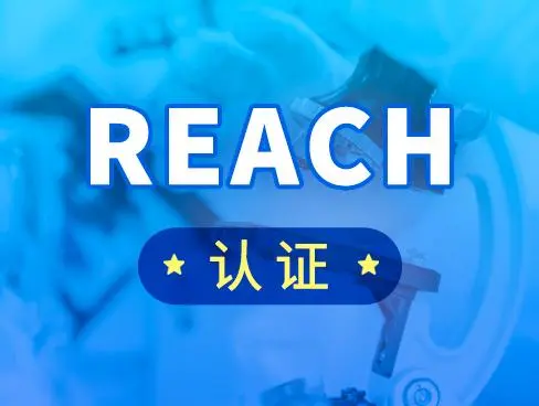 REACH是什么意思？